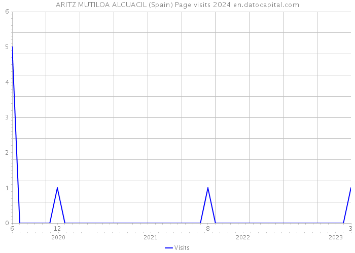 ARITZ MUTILOA ALGUACIL (Spain) Page visits 2024 
