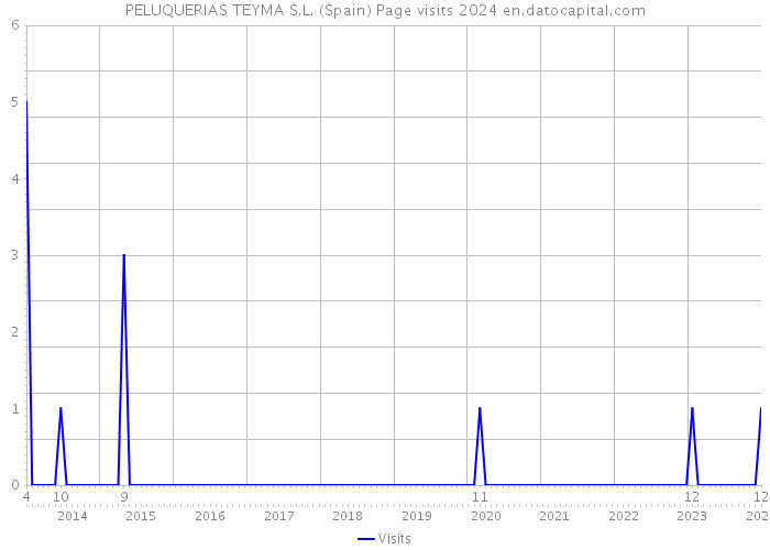 PELUQUERIAS TEYMA S.L. (Spain) Page visits 2024 