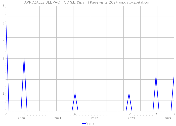 ARROZALES DEL PACIFICO S.L. (Spain) Page visits 2024 