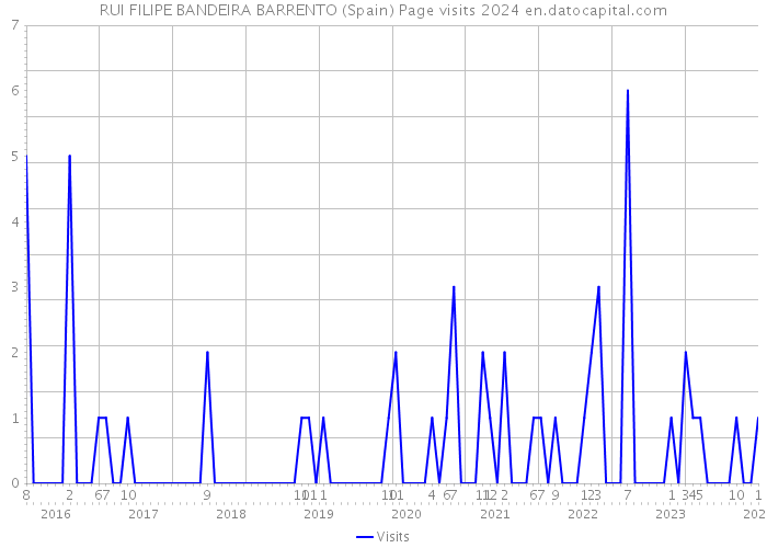 RUI FILIPE BANDEIRA BARRENTO (Spain) Page visits 2024 
