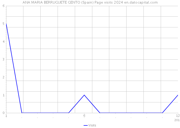 ANA MARIA BERRUGUETE GENTO (Spain) Page visits 2024 