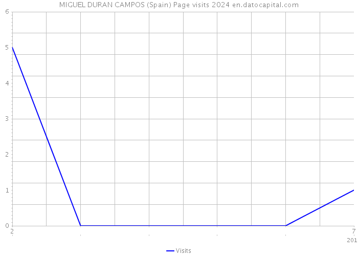 MIGUEL DURAN CAMPOS (Spain) Page visits 2024 