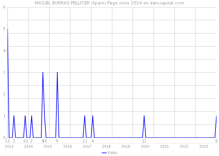 MIGUEL BORRAS PELLICER (Spain) Page visits 2024 