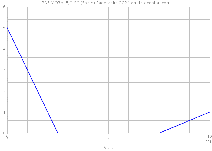 PAZ MORALEJO SC (Spain) Page visits 2024 