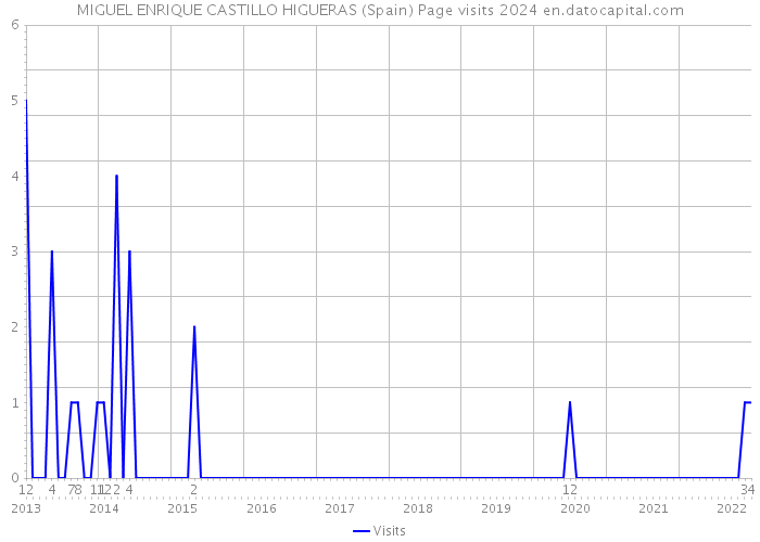 MIGUEL ENRIQUE CASTILLO HIGUERAS (Spain) Page visits 2024 