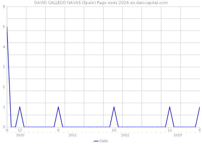 DAVID GALLEGO NAVAS (Spain) Page visits 2024 