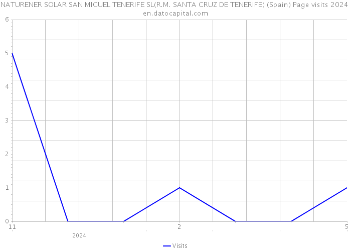 NATURENER SOLAR SAN MIGUEL TENERIFE SL(R.M. SANTA CRUZ DE TENERIFE) (Spain) Page visits 2024 