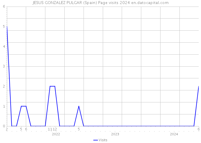 JESUS GONZALEZ PULGAR (Spain) Page visits 2024 