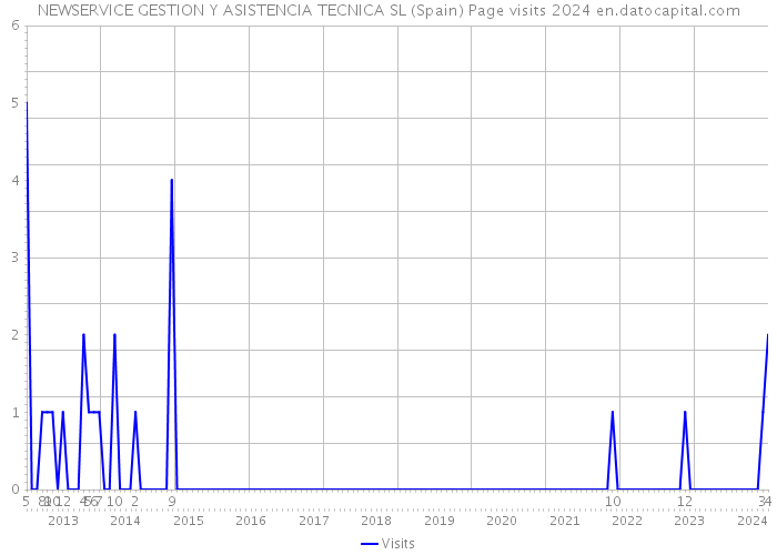 NEWSERVICE GESTION Y ASISTENCIA TECNICA SL (Spain) Page visits 2024 