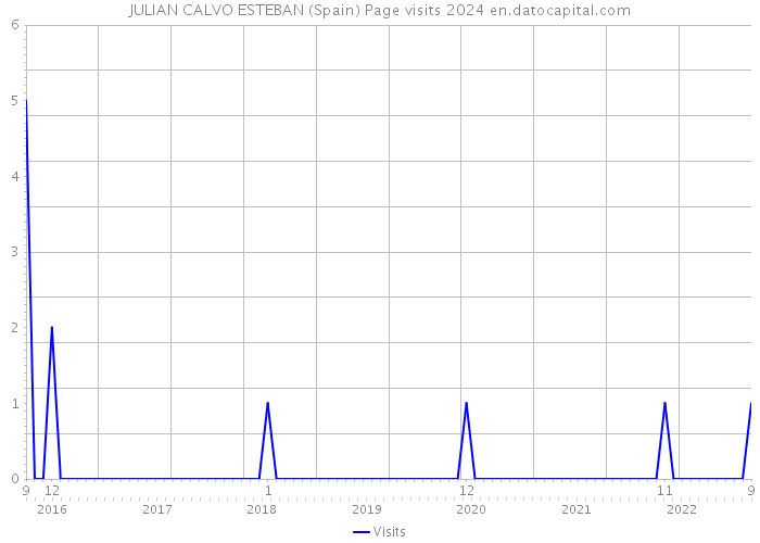 JULIAN CALVO ESTEBAN (Spain) Page visits 2024 