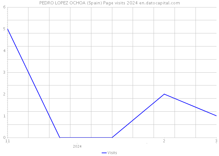 PEDRO LOPEZ OCHOA (Spain) Page visits 2024 