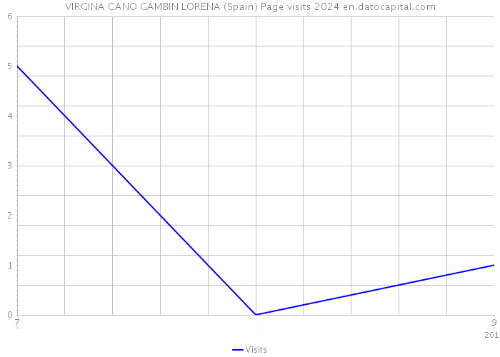 VIRGINA CANO GAMBIN LORENA (Spain) Page visits 2024 