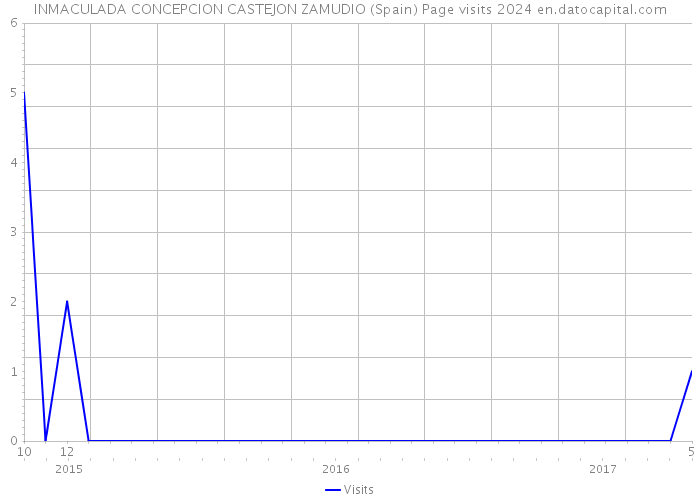 INMACULADA CONCEPCION CASTEJON ZAMUDIO (Spain) Page visits 2024 