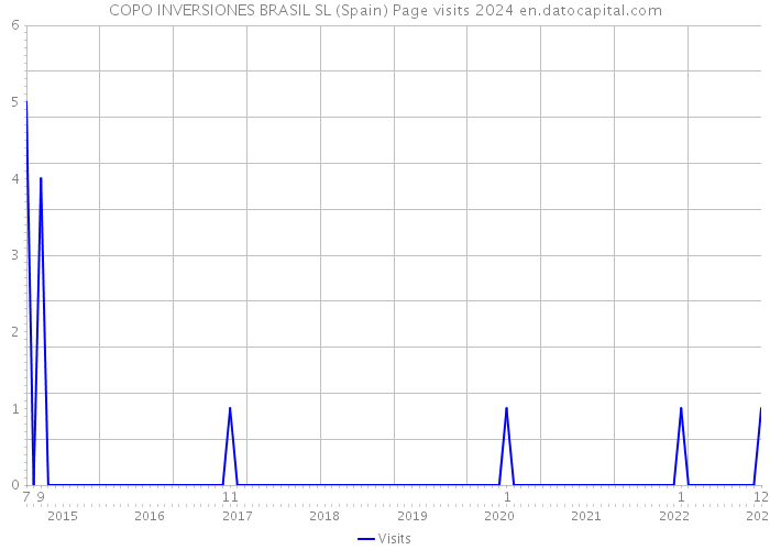COPO INVERSIONES BRASIL SL (Spain) Page visits 2024 