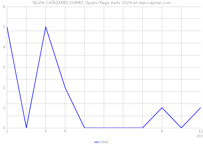 SILVIA CAÑIZARES GOMEZ (Spain) Page visits 2024 