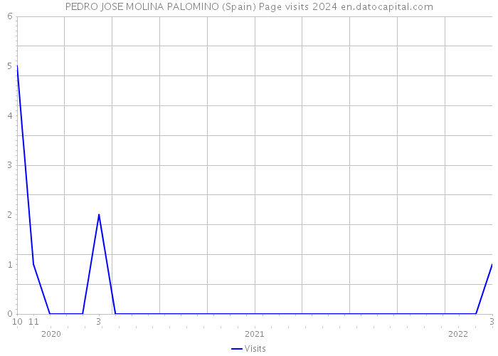 PEDRO JOSE MOLINA PALOMINO (Spain) Page visits 2024 