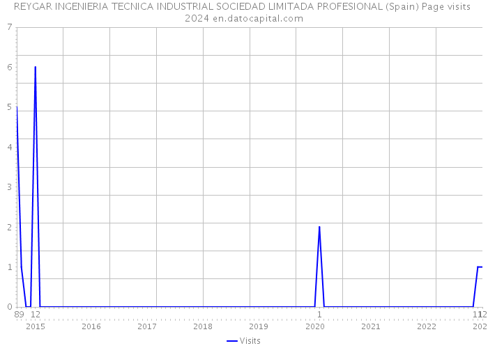 REYGAR INGENIERIA TECNICA INDUSTRIAL SOCIEDAD LIMITADA PROFESIONAL (Spain) Page visits 2024 
