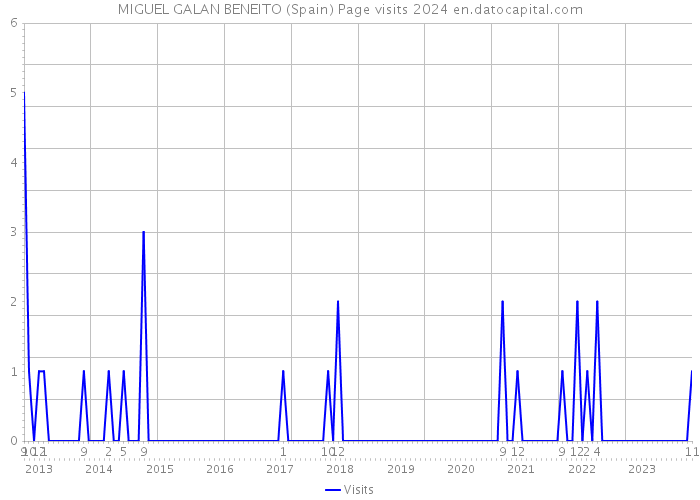 MIGUEL GALAN BENEITO (Spain) Page visits 2024 