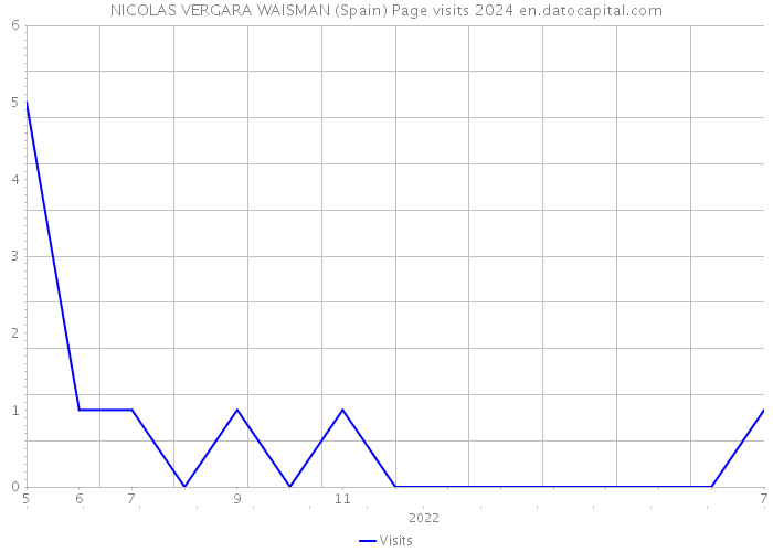 NICOLAS VERGARA WAISMAN (Spain) Page visits 2024 