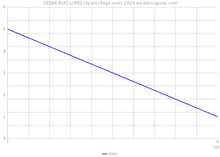 CESAR RUIZ LOPEZ (Spain) Page visits 2024 