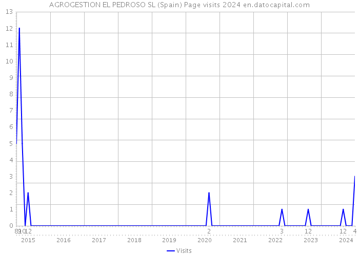 AGROGESTION EL PEDROSO SL (Spain) Page visits 2024 