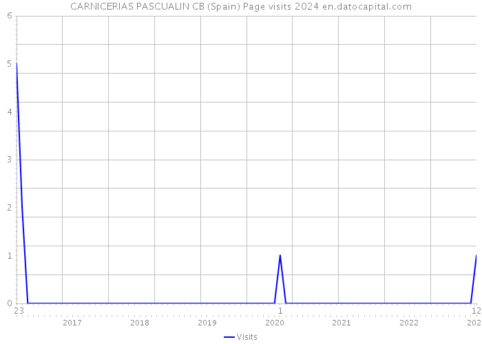 CARNICERIAS PASCUALIN CB (Spain) Page visits 2024 