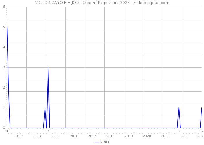 VICTOR GAYO E HIJO SL (Spain) Page visits 2024 