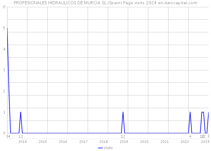 PROFESIONALES HIDRAULICOS DE MURCIA SL (Spain) Page visits 2024 
