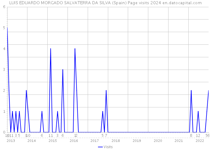 LUIS EDUARDO MORGADO SALVATERRA DA SILVA (Spain) Page visits 2024 