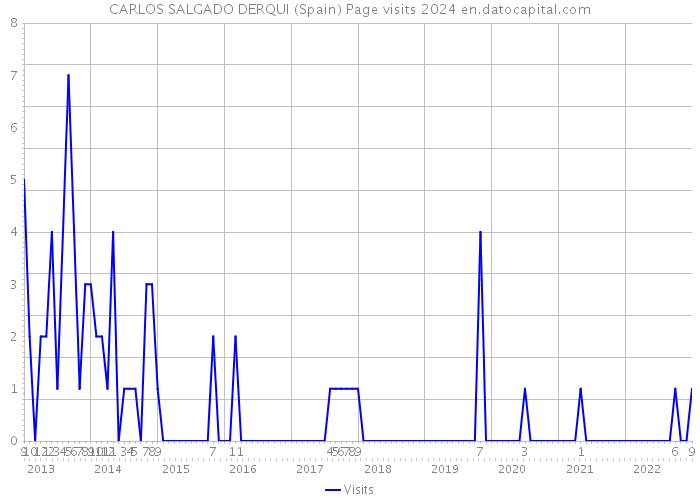 CARLOS SALGADO DERQUI (Spain) Page visits 2024 