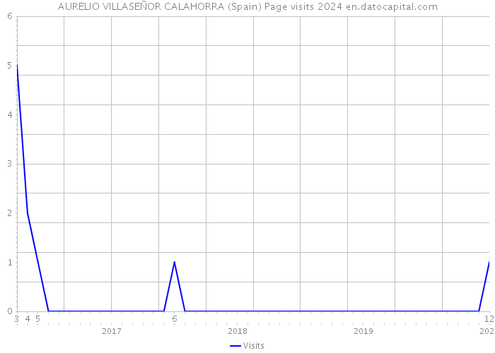AURELIO VILLASEÑOR CALAHORRA (Spain) Page visits 2024 