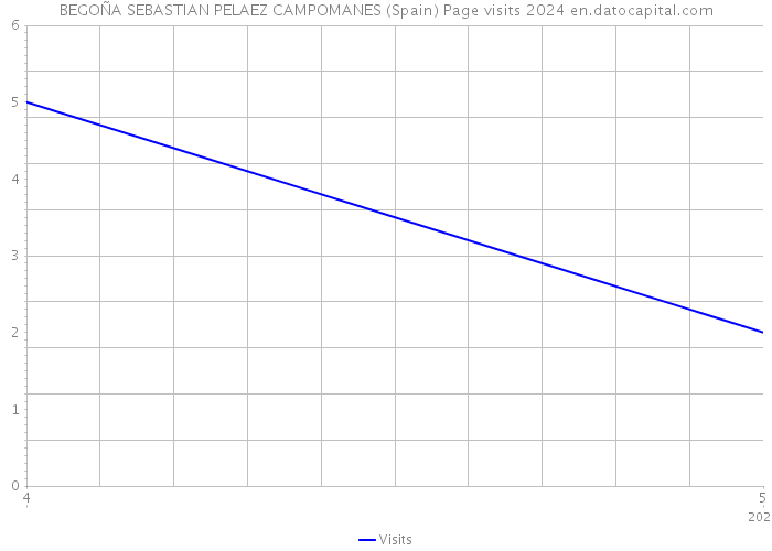 BEGOÑA SEBASTIAN PELAEZ CAMPOMANES (Spain) Page visits 2024 