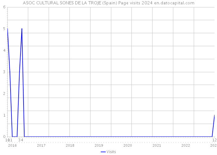 ASOC CULTURAL SONES DE LA TROJE (Spain) Page visits 2024 