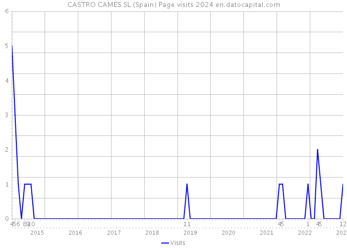 CASTRO CAMES SL (Spain) Page visits 2024 