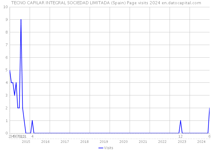 TECNO CAPILAR INTEGRAL SOCIEDAD LIMITADA (Spain) Page visits 2024 