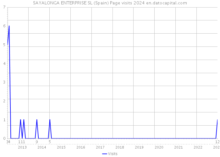 SAYALONGA ENTERPRISE SL (Spain) Page visits 2024 
