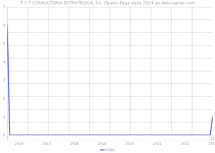 T Y T CONSULTORIA ESTRATEGICA, S.L. (Spain) Page visits 2024 