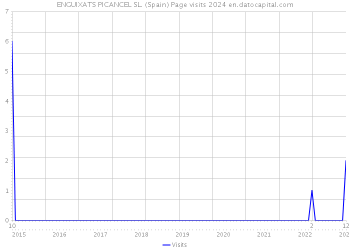 ENGUIXATS PICANCEL SL. (Spain) Page visits 2024 