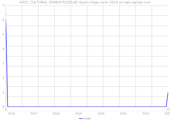ASOC CULTURAL DOMUS PUCELAE (Spain) Page visits 2024 
