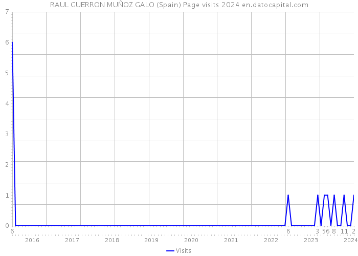 RAUL GUERRON MUÑOZ GALO (Spain) Page visits 2024 