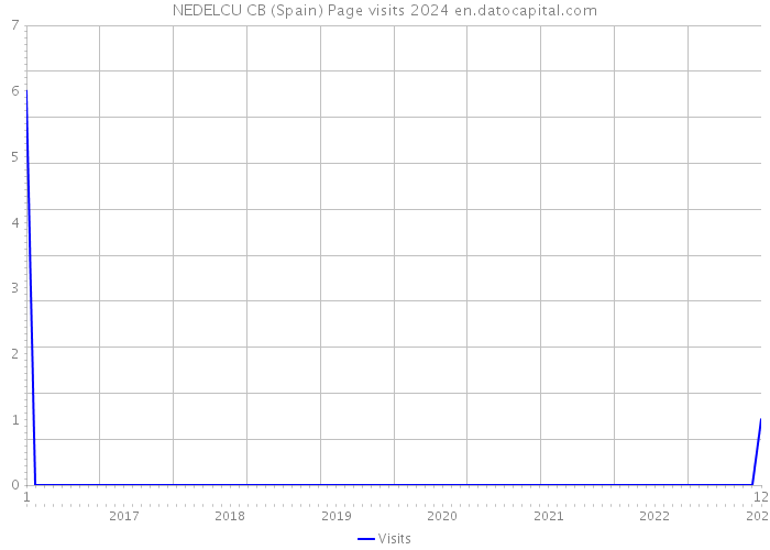 NEDELCU CB (Spain) Page visits 2024 