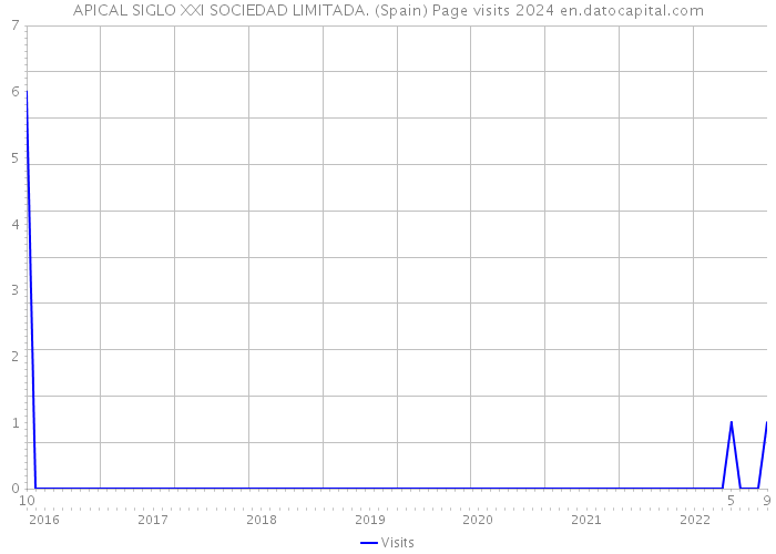 APICAL SIGLO XXI SOCIEDAD LIMITADA. (Spain) Page visits 2024 