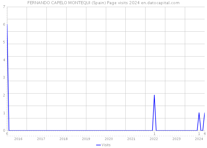 FERNANDO CAPELO MONTEQUI (Spain) Page visits 2024 