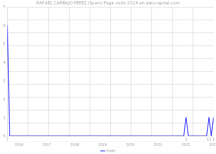 RAFAEL CARBAJO PEREZ (Spain) Page visits 2024 