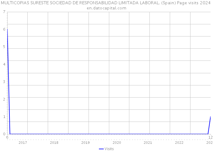 MULTICOPIAS SURESTE SOCIEDAD DE RESPONSABILIDAD LIMITADA LABORAL. (Spain) Page visits 2024 