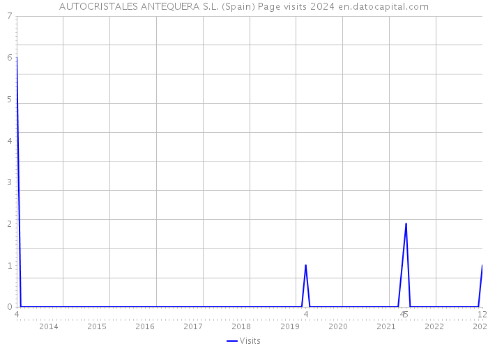 AUTOCRISTALES ANTEQUERA S.L. (Spain) Page visits 2024 