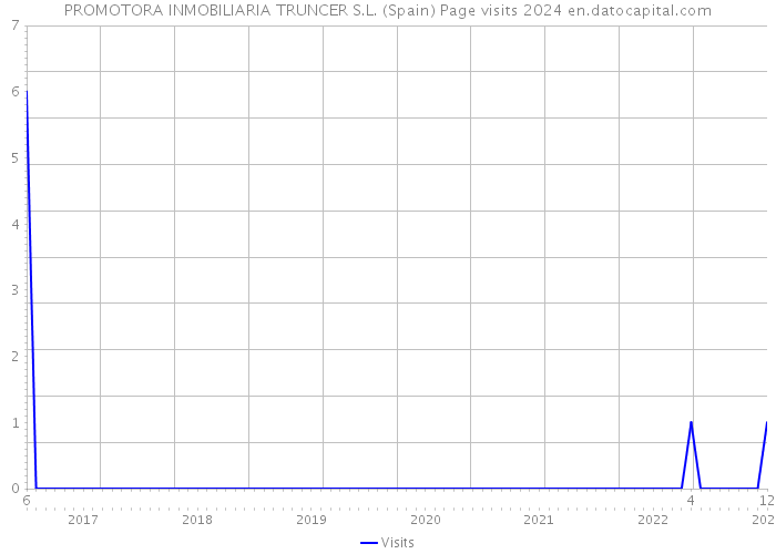 PROMOTORA INMOBILIARIA TRUNCER S.L. (Spain) Page visits 2024 