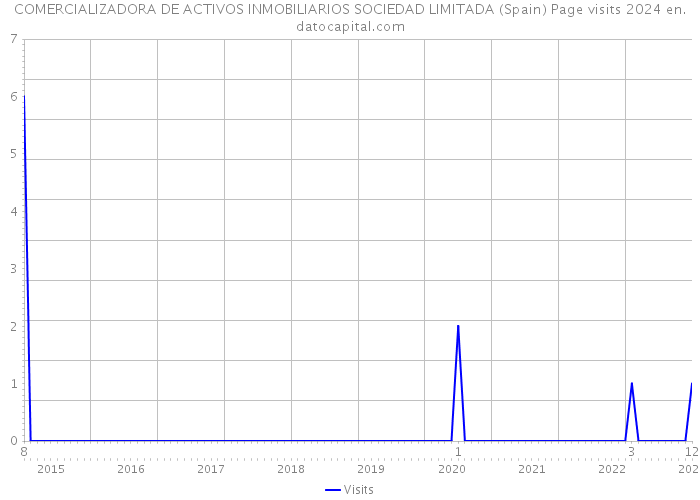 COMERCIALIZADORA DE ACTIVOS INMOBILIARIOS SOCIEDAD LIMITADA (Spain) Page visits 2024 