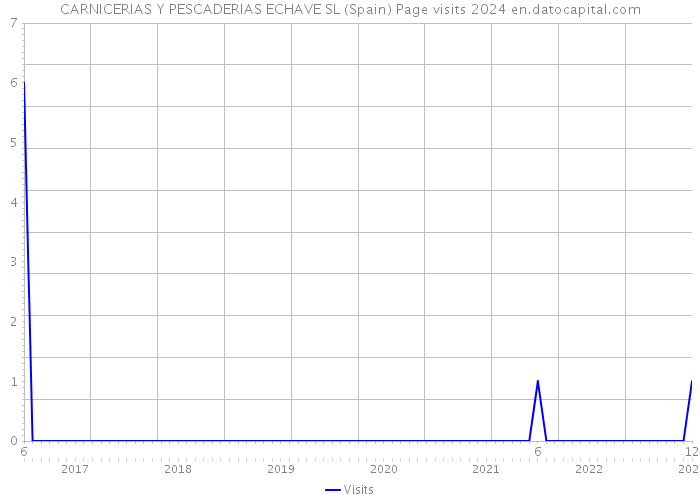 CARNICERIAS Y PESCADERIAS ECHAVE SL (Spain) Page visits 2024 