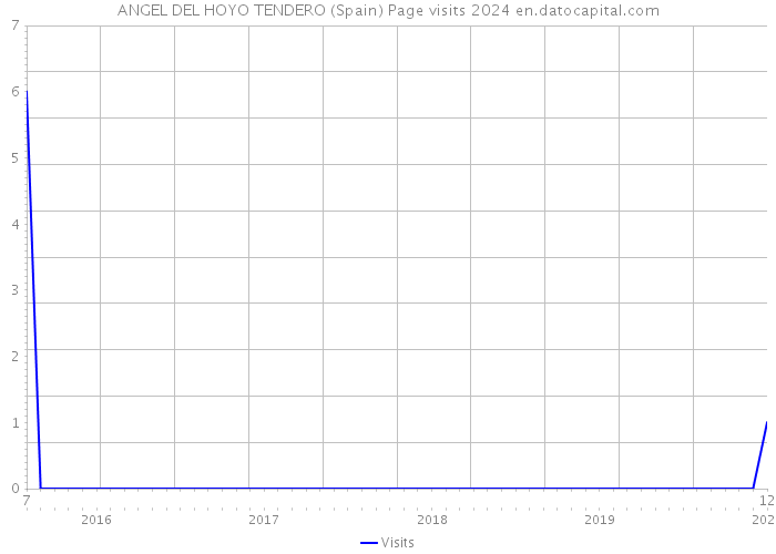 ANGEL DEL HOYO TENDERO (Spain) Page visits 2024 